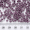12/0 Baking Paint Glass Round Seed Beads SEED-S036-01A-18-3