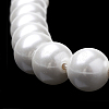 Shell Pearl Beads Strands BSHE-S301-10mm-04-3