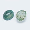 Natural Moss Agate Cabochons G-G759-Z12-2