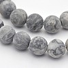 Natural Map Stone/Polychrome Jasper/Picasso Stone/Picasso Jasper Beads Strands G-D657-6mm-1