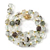 Natural Green Lodolite Quartz/Garden Quartz Beads Strands G-Q010-A18-01-3