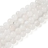 Natural Rainbow Moonstone Beads Strands G-I249-B04-04-2