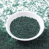 MIYUKI Round Rocailles Beads SEED-X0054-RR0289-3