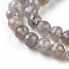 Natural Labradorite Beads Strands G-O176-04B-4