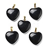 Natural Obsidian Pendants G-G956-B40-G-1