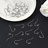 SHEGRACE Brass Earring Hooks XGR0137P-155P-4