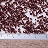 MIYUKI Delica Beads X-SEED-J020-DB0120-4