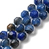 Natural Agate Beads Strands G-C039-D04-1