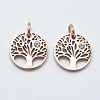 316 Surgical Stainless Steel Pendants STAS-K178-11-2