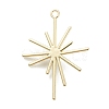 Alloy Pendants PALLOY-E580-05LG-2