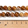 Natural Wood Lace Stone Beads Strands G-B128-A04-04-3