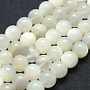 Natural White Moonstone Beads Strands G-P342-02A-10mm-A--1