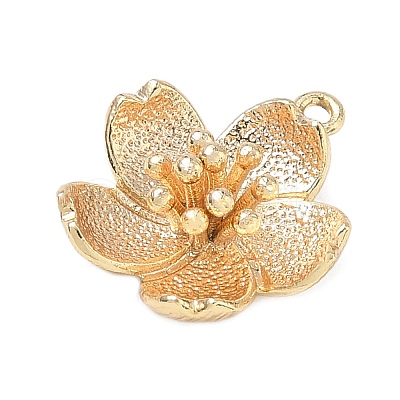Brass Pendants KK-D263-01G-05-1