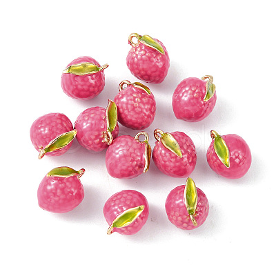 Brass Enamel Charms KK-G462-35LG-1