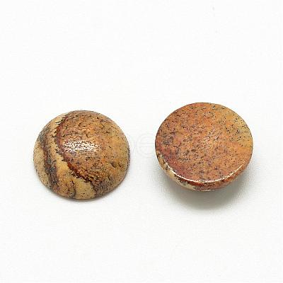 Natural Picture Jasper Cabochons G-R416-8mm-42-1