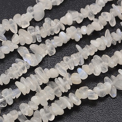 Chips Natural White Moonstone Beads Strands X-G-N0164-57-1