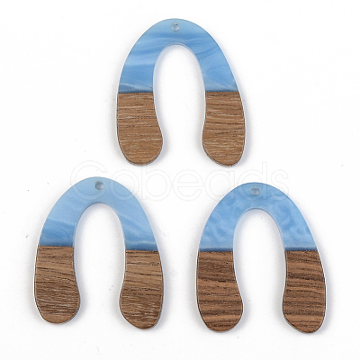 Opaque Resin & Walnut Wood Pendants RESI-S389-058A-C01-1