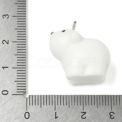 Animal Series Resin Pendants RESI-K203-09A-1