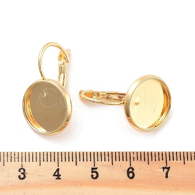 Rack Plating Brass Leberback Earring KK-C063-16G-1