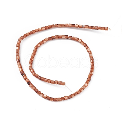 Natural Freshwater Shell Dyed Beads Strands SHEL-M018-14-02-1