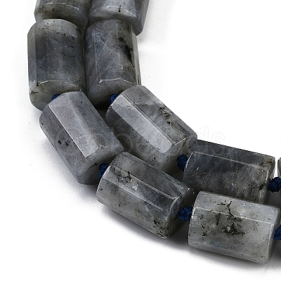 Natural Labradorite Beads Strands G-G162-D13-02-1