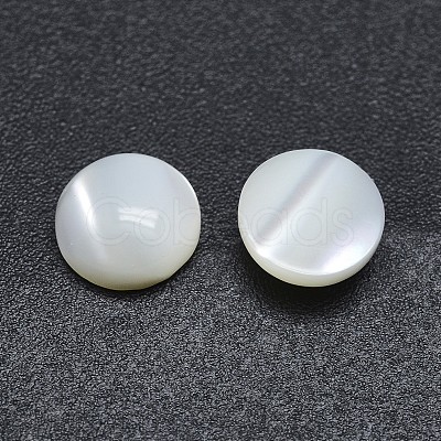 Shell Cabochons SSHEL-P015-61-6mm-1