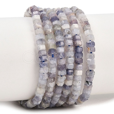 Natural Iolite Beads Strands G-G345-C06-2x4mm-1