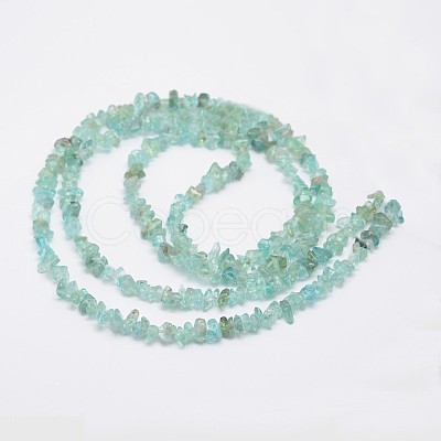 Chips Natural Apatite Beads Strands X-G-N0164-44-1