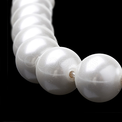 Shell Pearl Beads Strands BSHE-S301-10mm-04-1