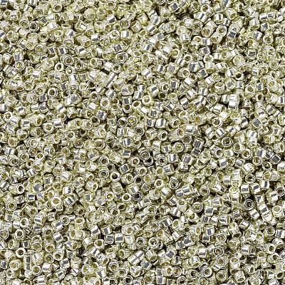 MIYUKI Delica Beads X-SEED-J020-DB1831-1
