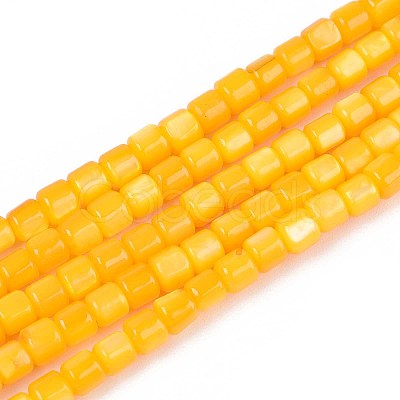 Dyed Natural Freshwater Shell Beads Strands SHEL-T020-56B-1
