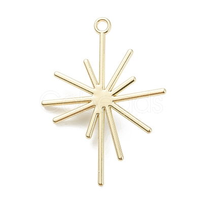 Alloy Pendants PALLOY-E580-05LG-1