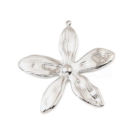 304 Stainless Steel Pendants STAS-Z199-12P-06-1