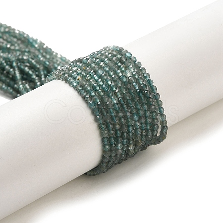 Natural Apatite Beads Strands G-B074-B09-01-1