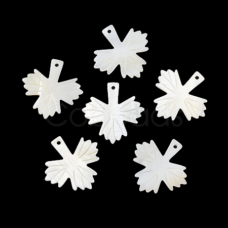 Natural Freshwater Shell Pendants SHEL-K006-10-1