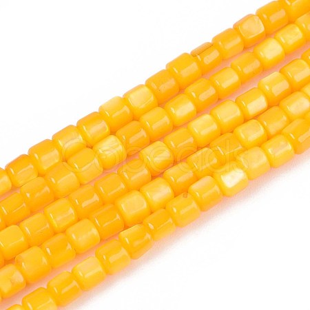 Dyed Natural Freshwater Shell Beads Strands SHEL-T020-56B-1