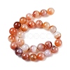 Natural Multi-Color Agate Beads Strands G-A261-B21-14mm-3
