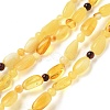 Natural Amber Beads Strands G-K387-C02-01-2