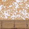 MIYUKI Delica Beads SEED-X0054-DB2171-4