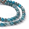 Natural Apatite Beads Strands G-L554-01-4mm-2