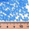 8/0 Glass Seed Beads SEED-A008-3mm-M3-3