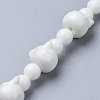 Handmade Lampwork Beads Strands PORC-K002-02D-4