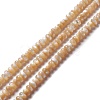 Natural Trochid Shell/Trochus Shell Beads Strands SSHEL-O001-24A-01-3