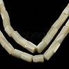 Natural White Shell Beads Strands X-SSHEL-D614C-1