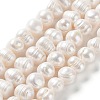 Natural Cultured Freshwater Pearl Beads Strands PEAR-E019-06-1
