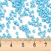 Baking Paint Glass Seed Beads SEED-S042-05A-38-4