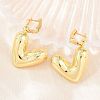 Brass Micro Pave Clear Cubic Zirconia Hoop Dangle Earrings EJEW-G471-30A-G-1
