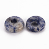 Natural Blue Spot Jasper Pendants G-T122-67G-2