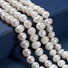 Natural Cultured Freshwater Pearl Beads Strands PEAR-N013-06G-4