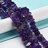 Natural Amethyst Beads Strands G-D091-A10-2